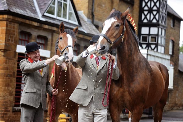 Hook Norton Shire Horses